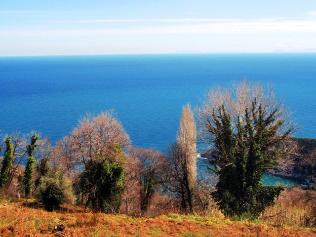 Plots for sale at Tsagarada